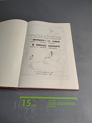 Волшебная зима. В конце ноября