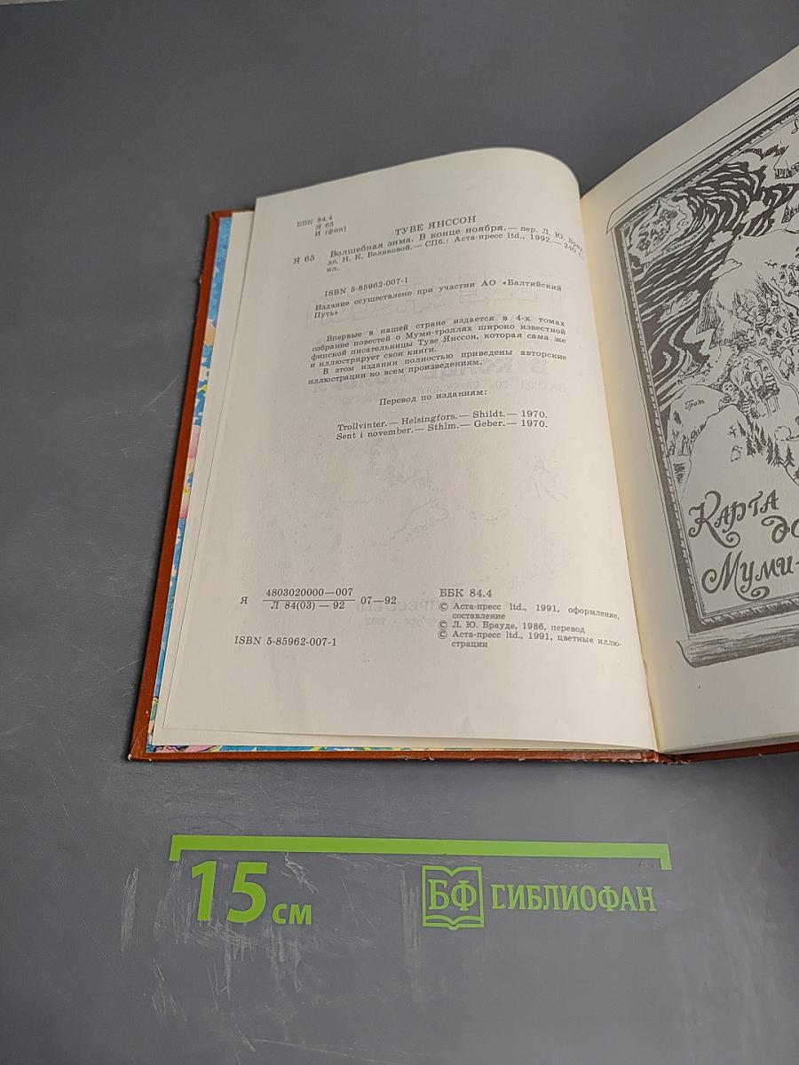 Волшебная зима. В конце ноября