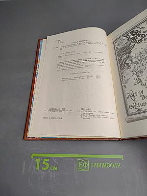 Волшебная зима. В конце ноября