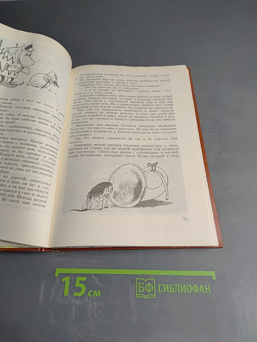 Волшебная зима. В конце ноября