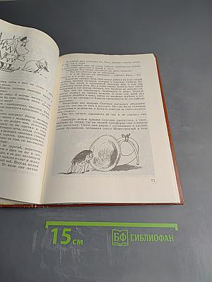 Волшебная зима. В конце ноября