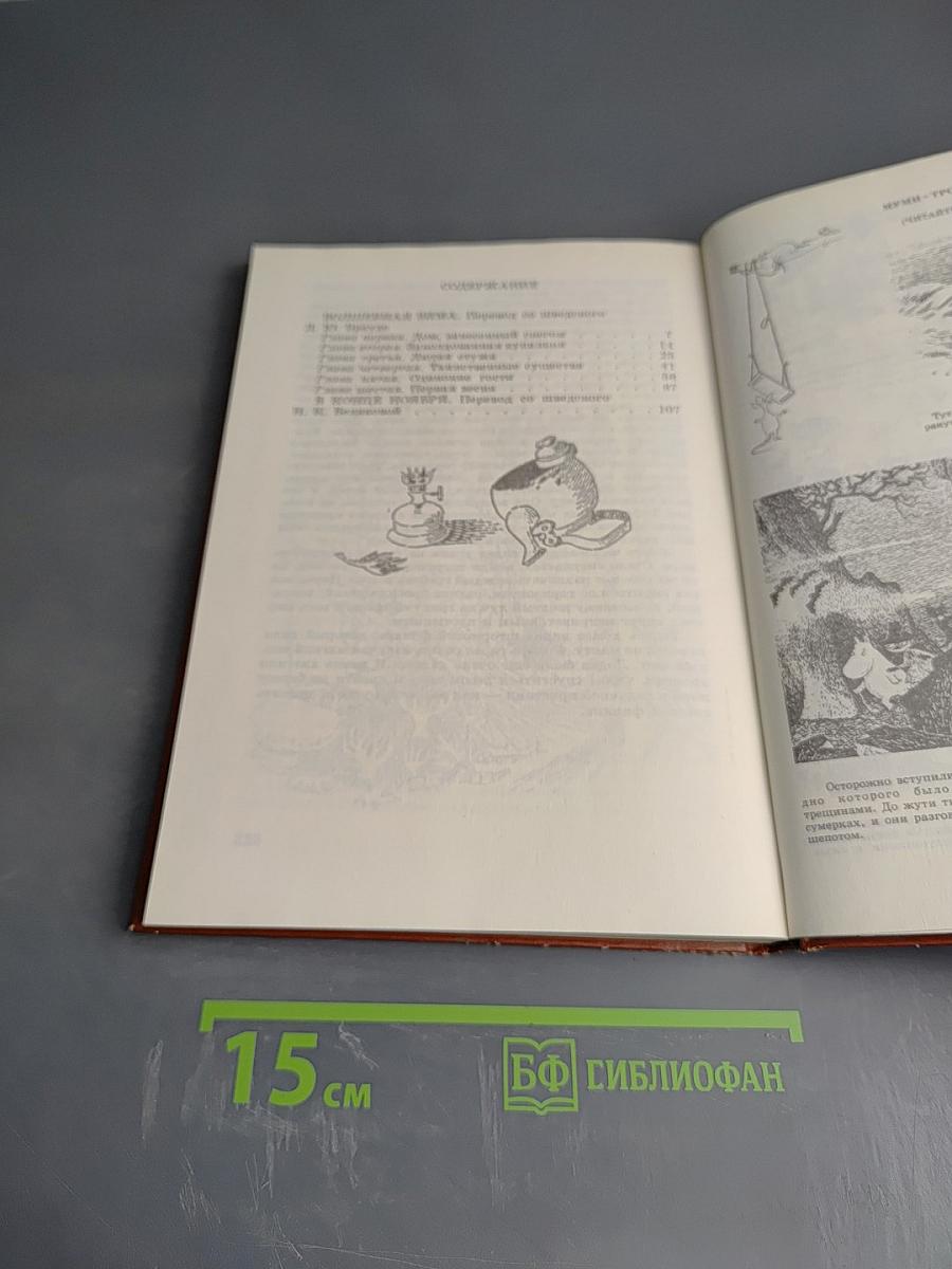Волшебная зима. В конце ноября