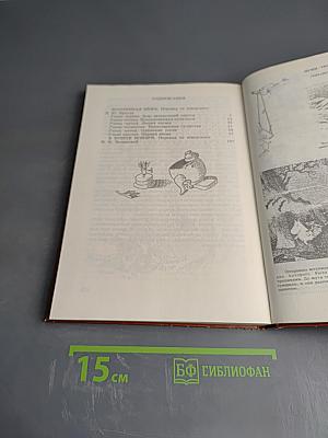 Волшебная зима. В конце ноября