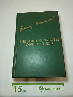Вчерашние заботы. Соленый лед