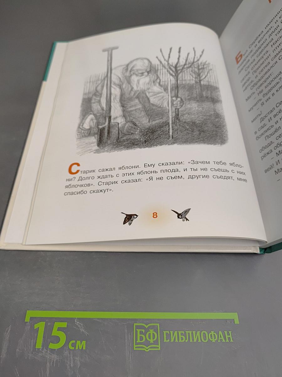 Первоклассные истории