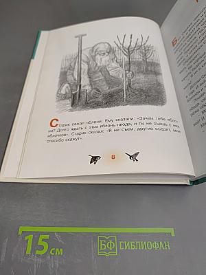 Первоклассные истории