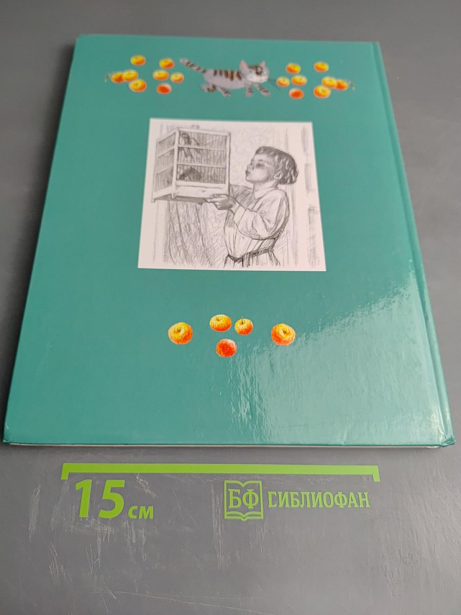 Первоклассные истории