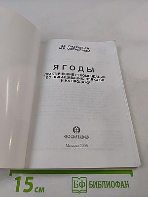 Ягоды: Практические рекомендации по выращиванию для себя и на продажу