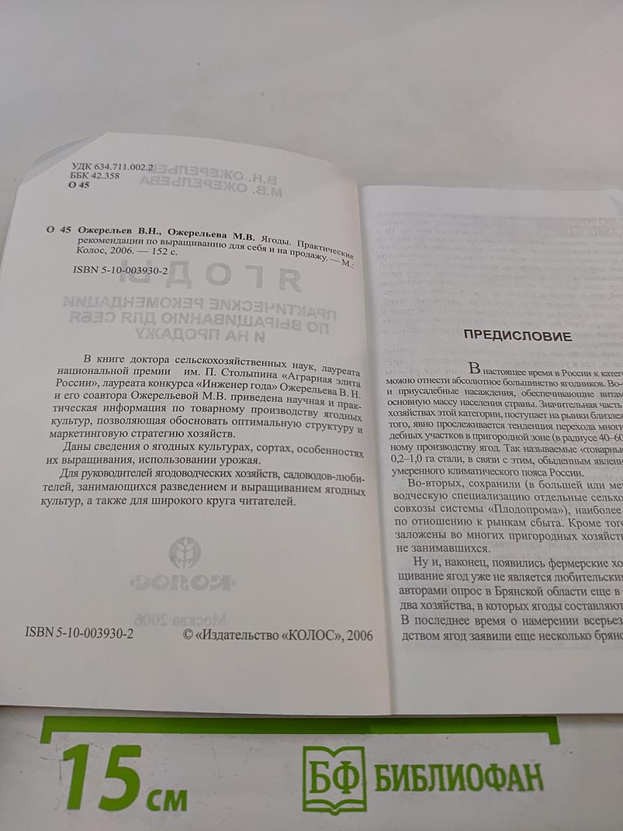 Ягоды: Практические рекомендации по выращиванию для себя и на продажу