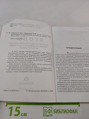 Ягоды: Практические рекомендации по выращиванию для себя и на продажу