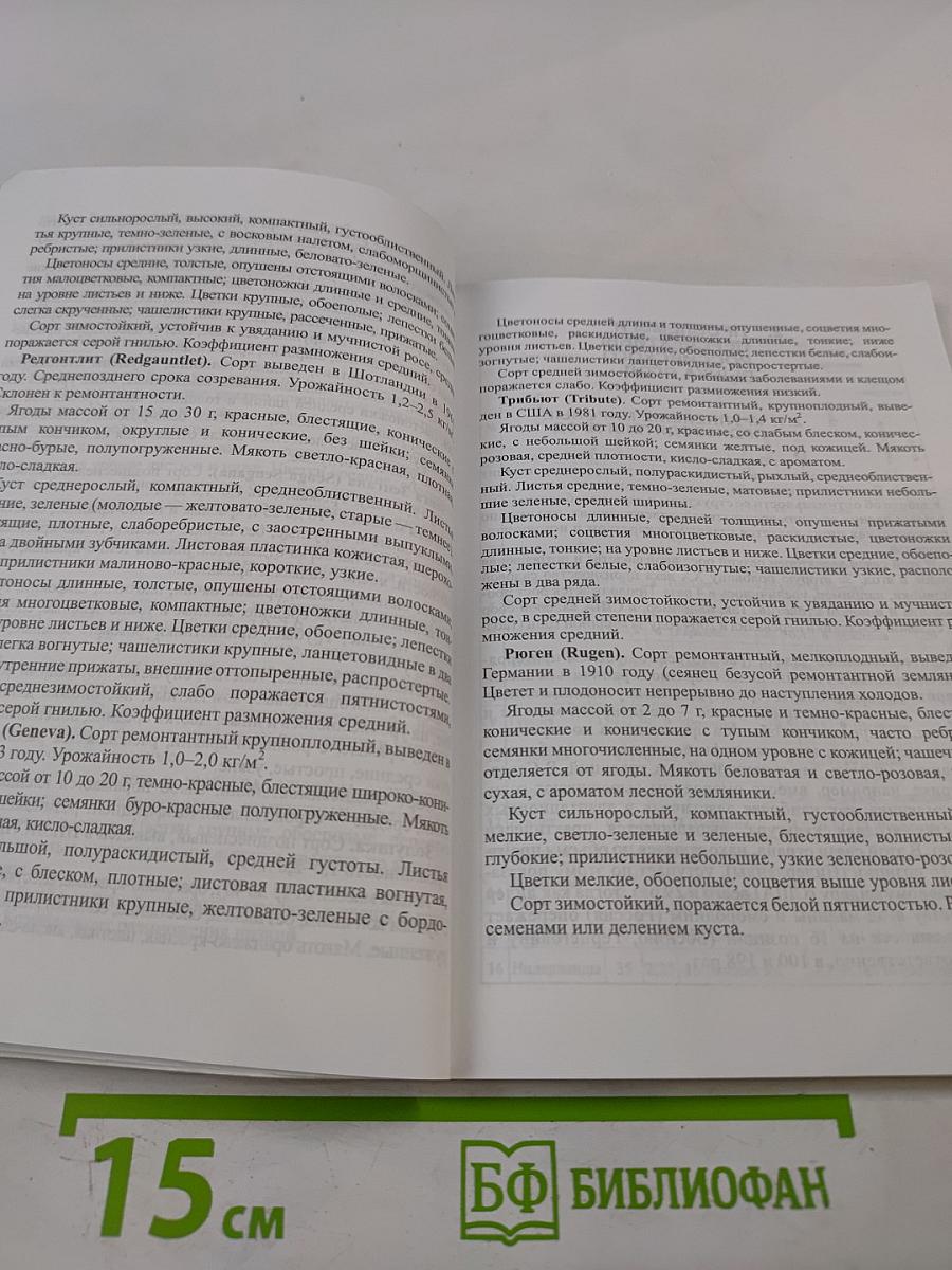 Ягоды: Практические рекомендации по выращиванию для себя и на продажу