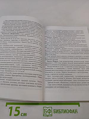 Ягоды: Практические рекомендации по выращиванию для себя и на продажу