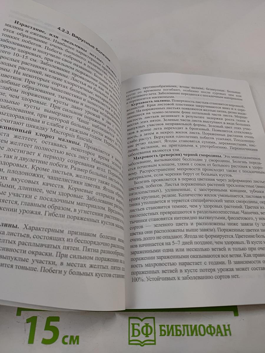 Ягоды: Практические рекомендации по выращиванию для себя и на продажу