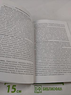 Ягоды: Практические рекомендации по выращиванию для себя и на продажу