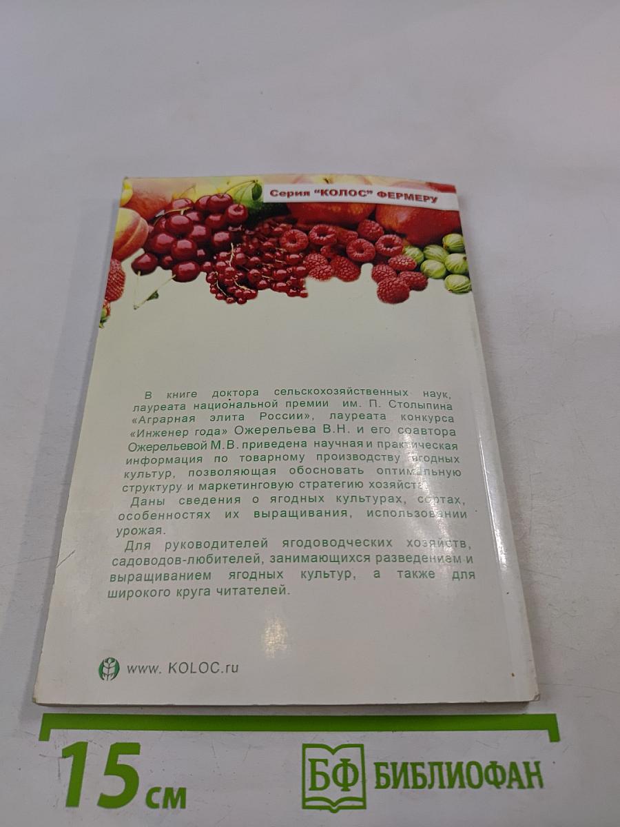 Ягоды: Практические рекомендации по выращиванию для себя и на продажу