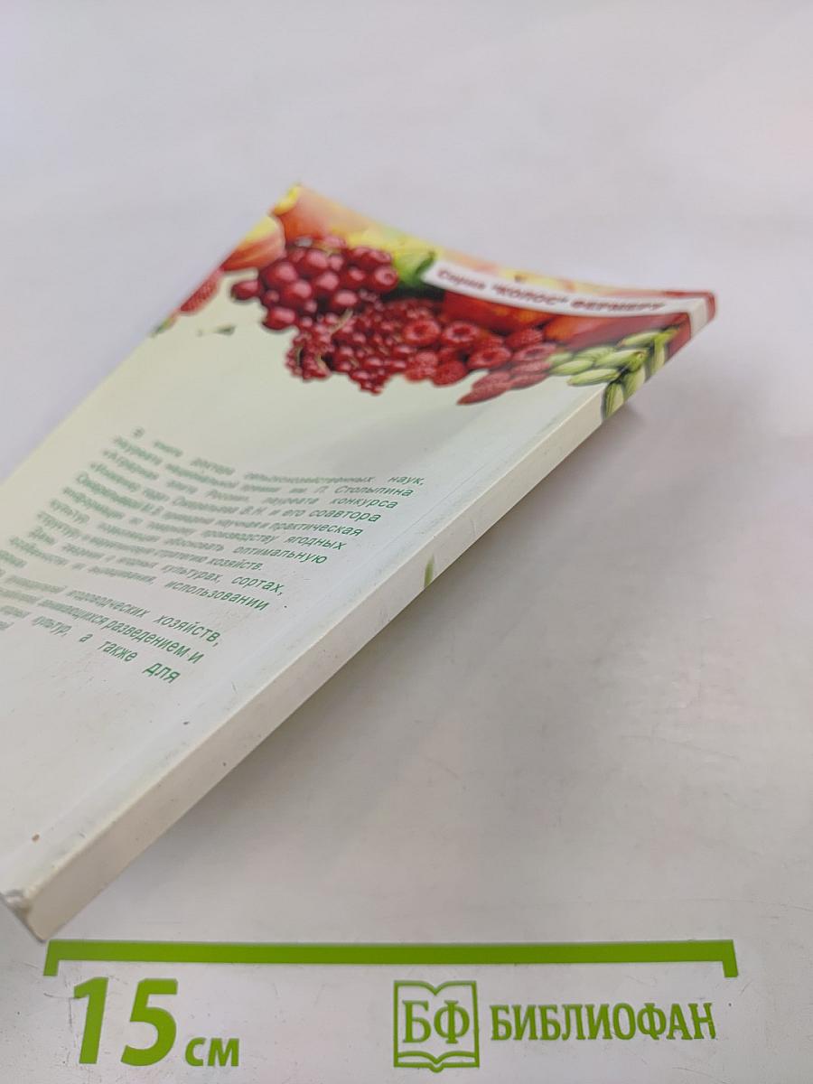 Ягоды: Практические рекомендации по выращиванию для себя и на продажу