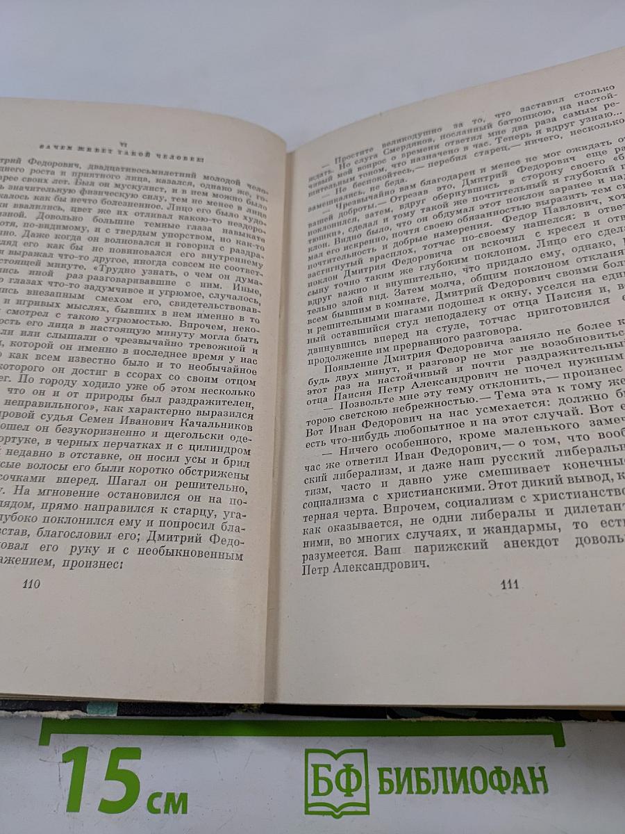 Братья Карамазовы. Том первый. Части I–II