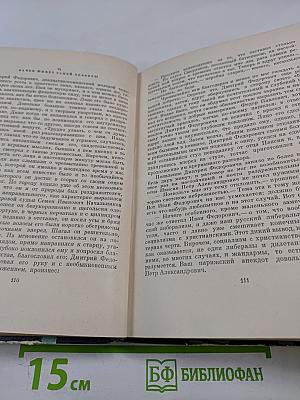 Братья Карамазовы. Том первый. Части I–II