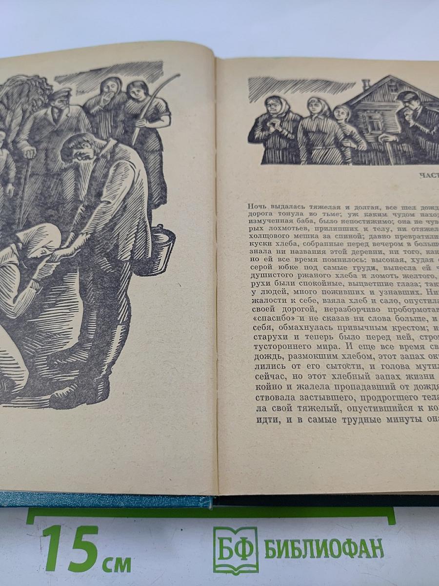 Избранные произведения. Том 2. Судьба. Роман
