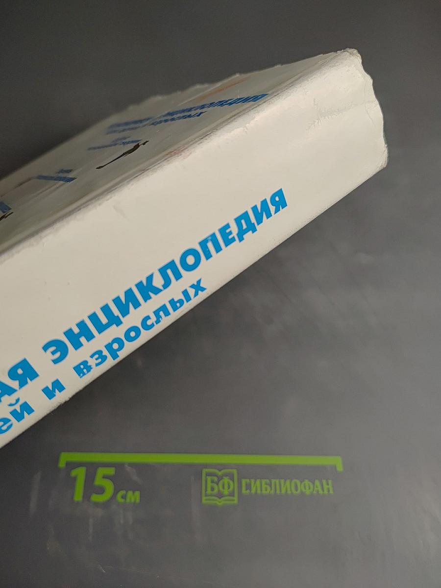 Экономическая энциклопедия для детей и взрослых