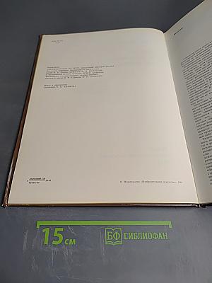 Натура и рисование по представлению