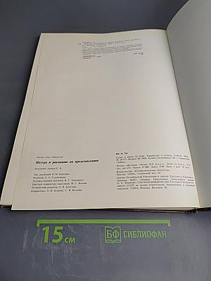 Натура и рисование по представлению