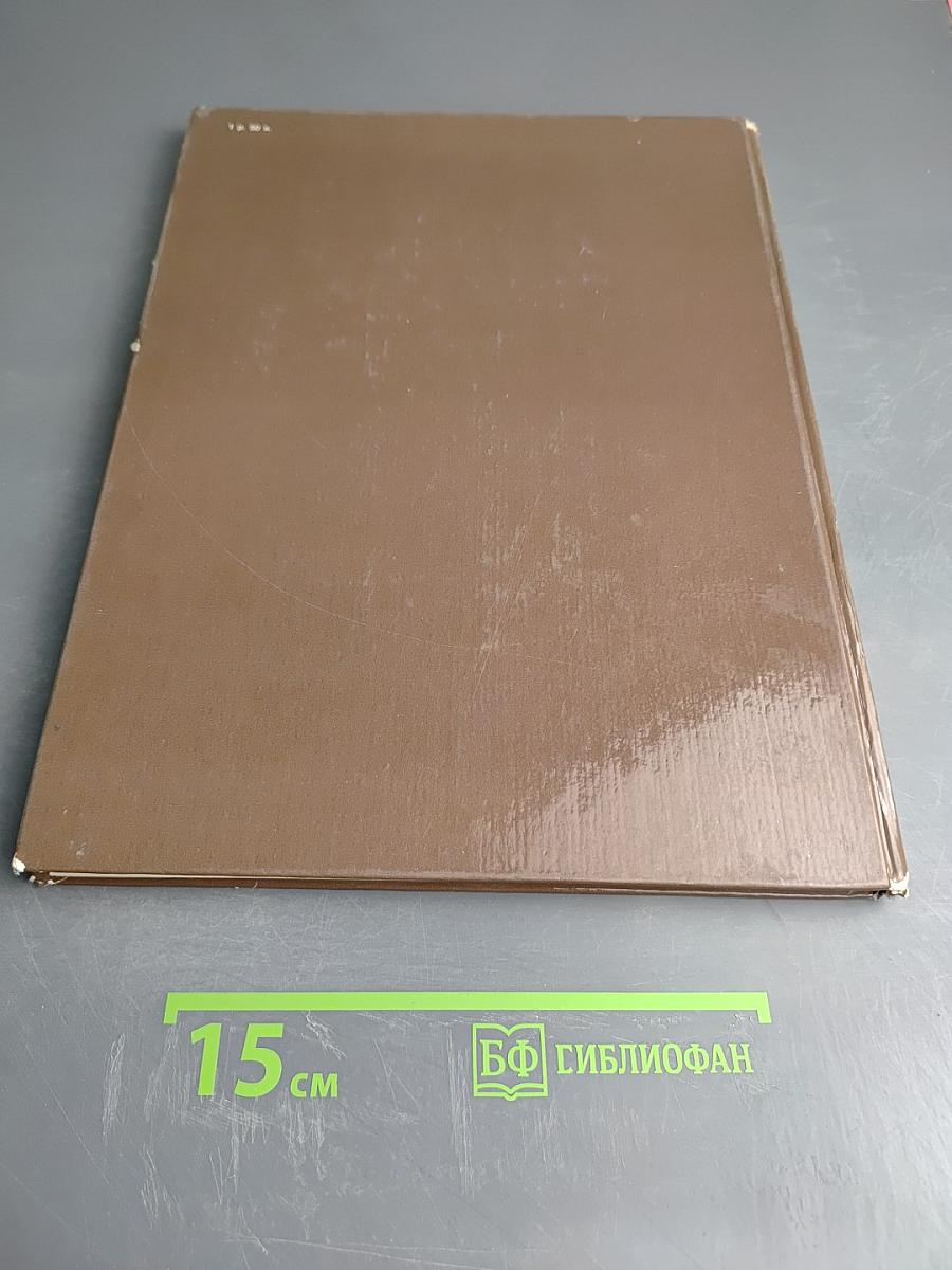 Натура и рисование по представлению