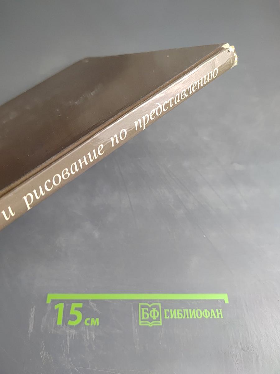 Натура и рисование по представлению