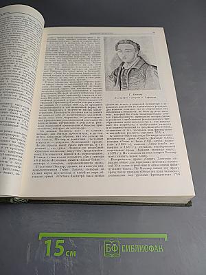 История Всемирной Литературы. Том Шестой