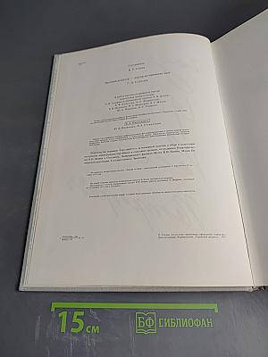 Год 1917 Россия Петроград