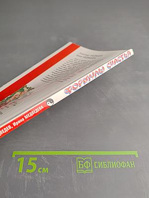 Технология счастья. Формулы счастья