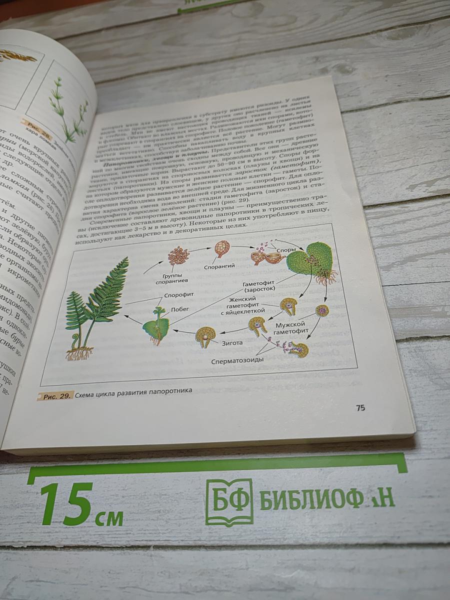 Биология 9 класс