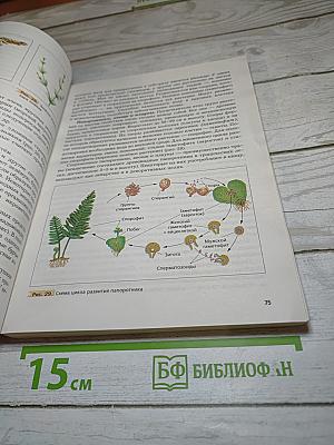 Биология 9 класс