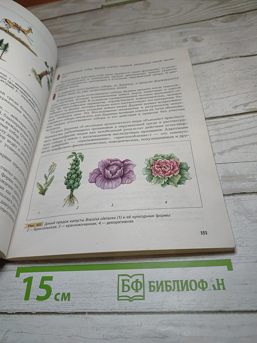 Биология 9 класс