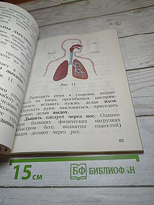 Физическая культура 1-4 классы