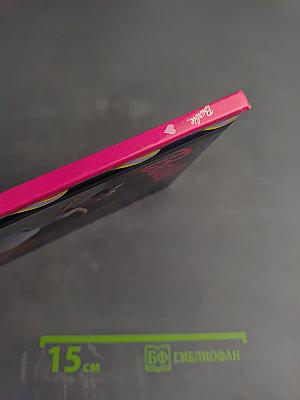 Barbie A Special Ballerina