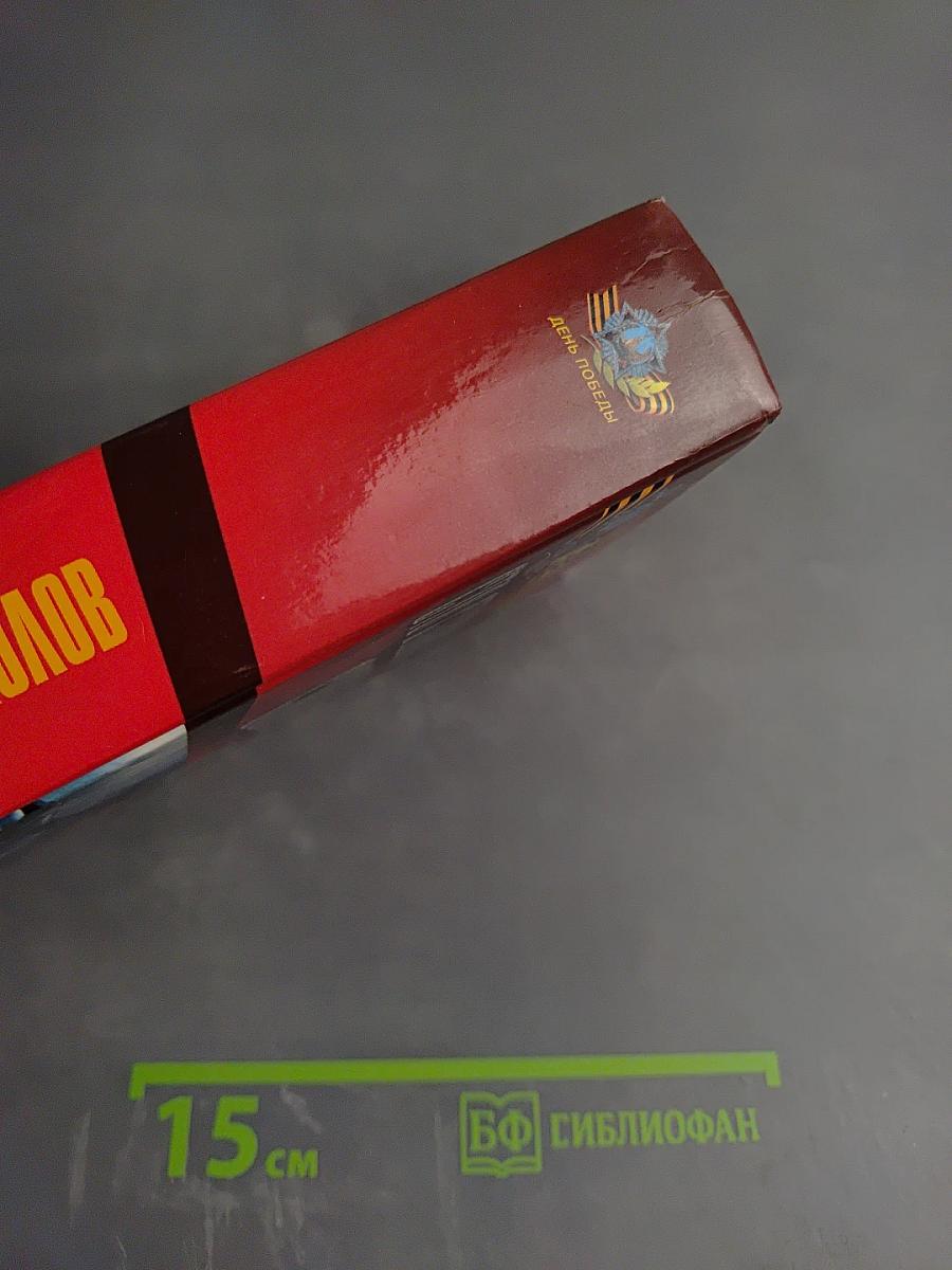 Сто сталинских соколов в боях за родину