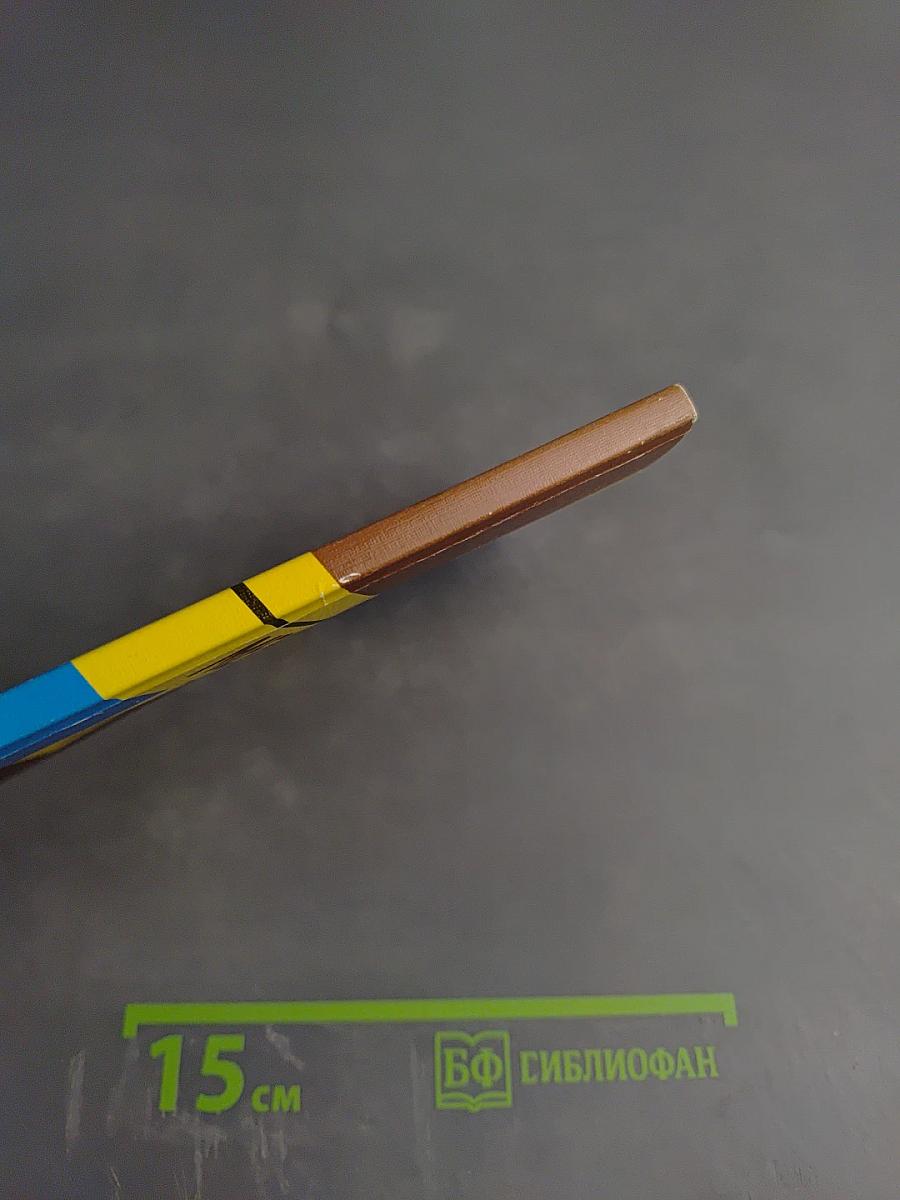 МЕНЕДЖМЕНТ: организационное поведение