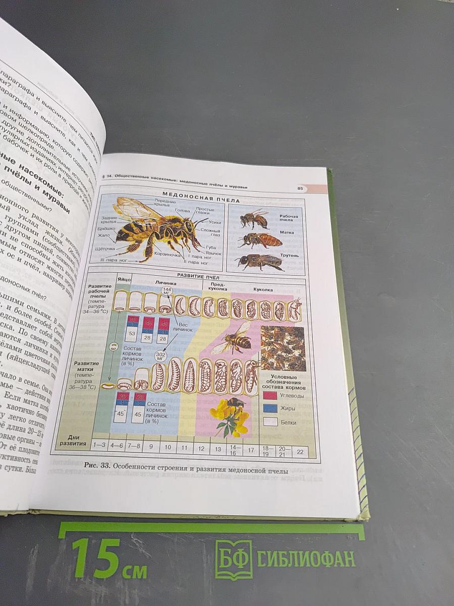 Биология. Живые организмы. Животные. 7 класс