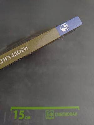 Изобразительное искусство. 5 класс