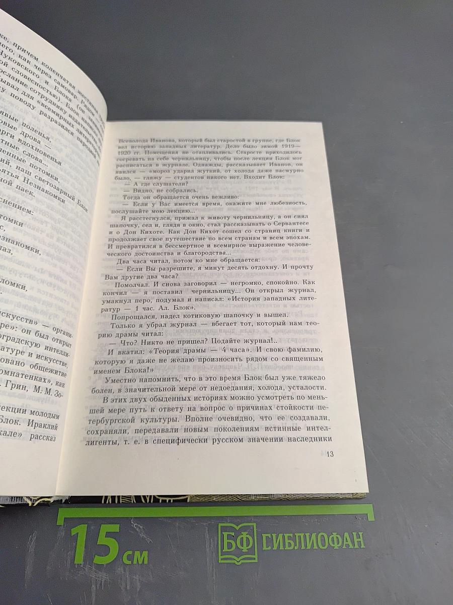 Санкт-Петербург в русской литературе: В двух томах Том 2