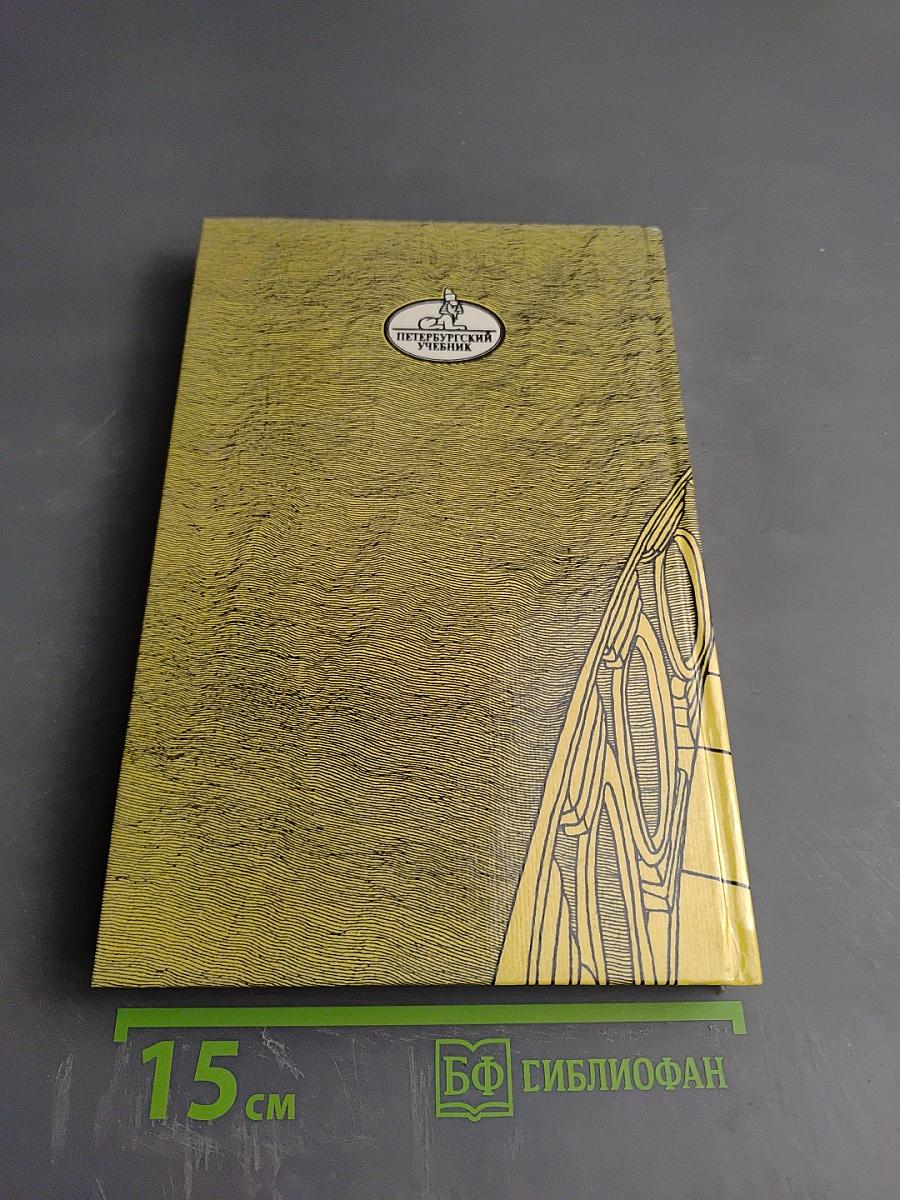 Санкт-Петербург в русской литературе. Учебник-хрестоматия для 9-11 классов. Том 1.