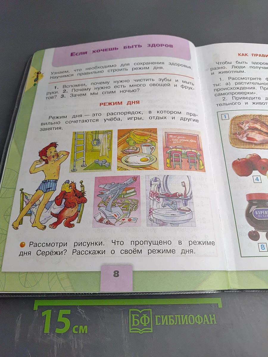 Окружающий мир 2 класс Часть 2