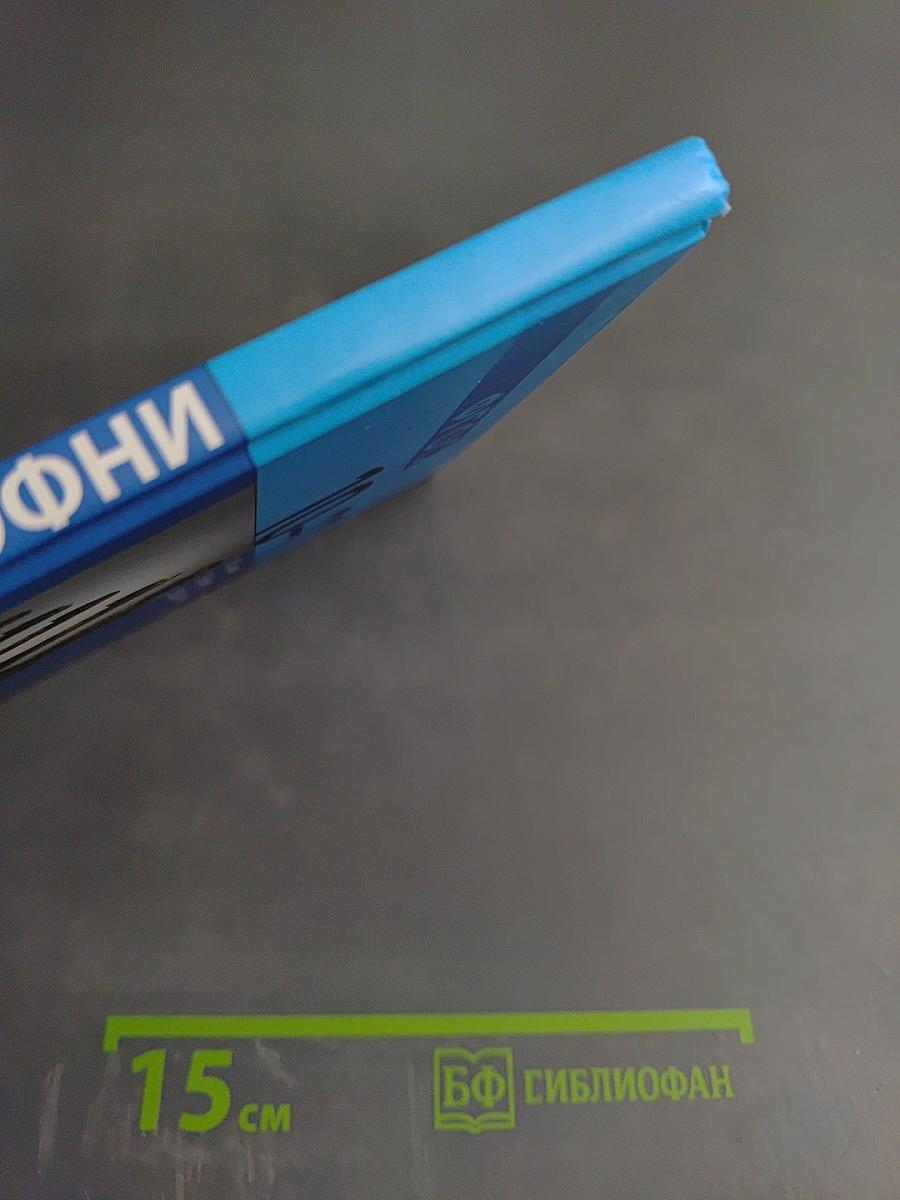 Информатика. Практикум. Углубленный уровень. Для 10-11 классов. Часть 2