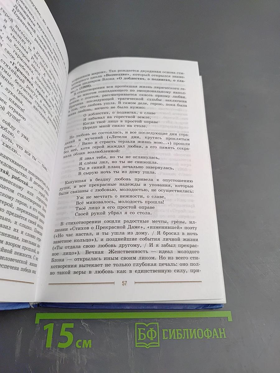 Литература 9 класс. Учебник. Часть 2