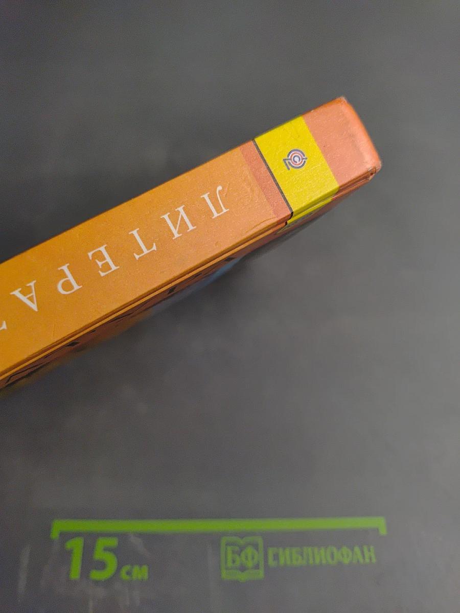 Литература 9 класс. Учебник. Часть 2