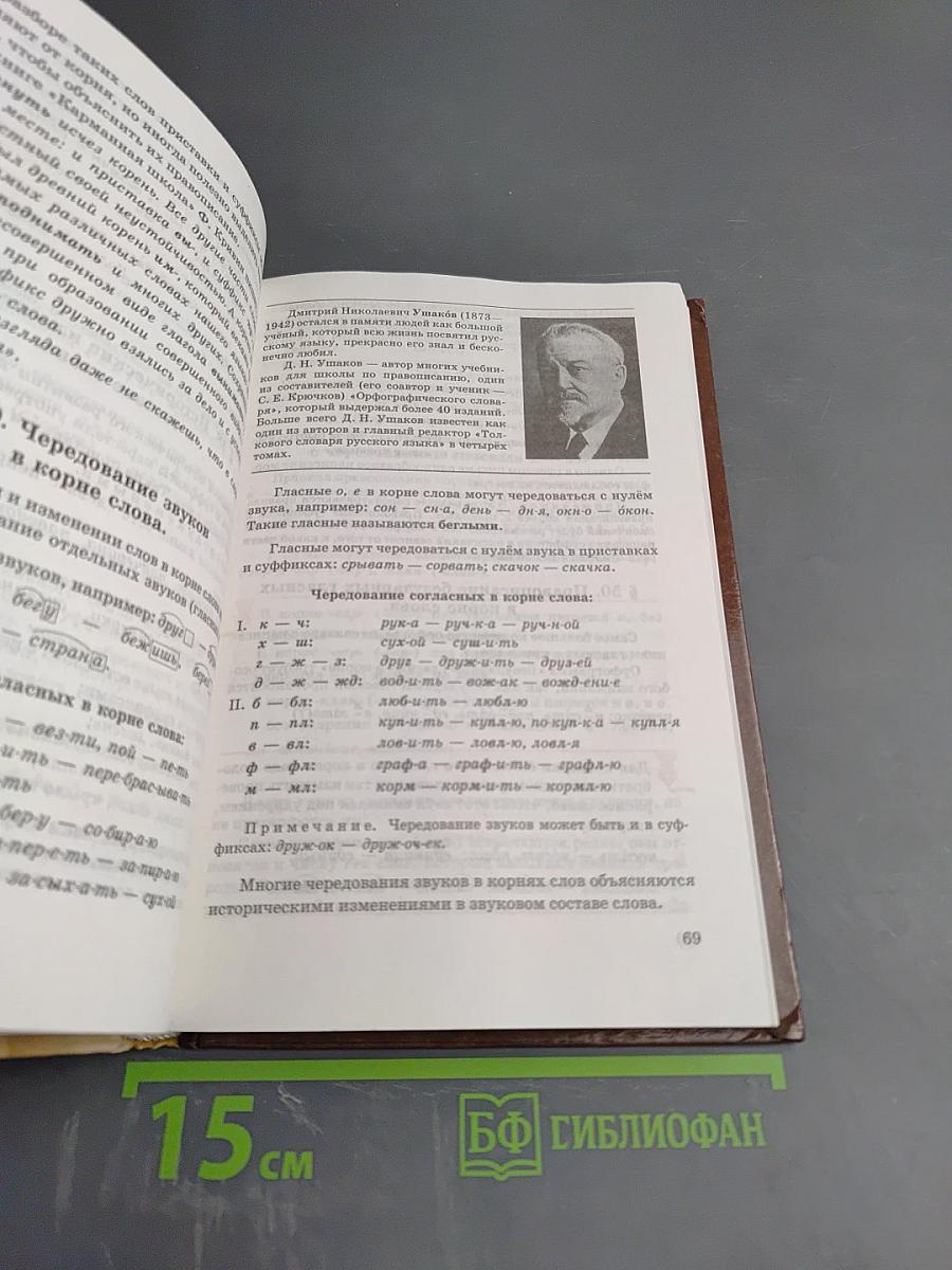 Русский язык. Теория. 5-9 классы
