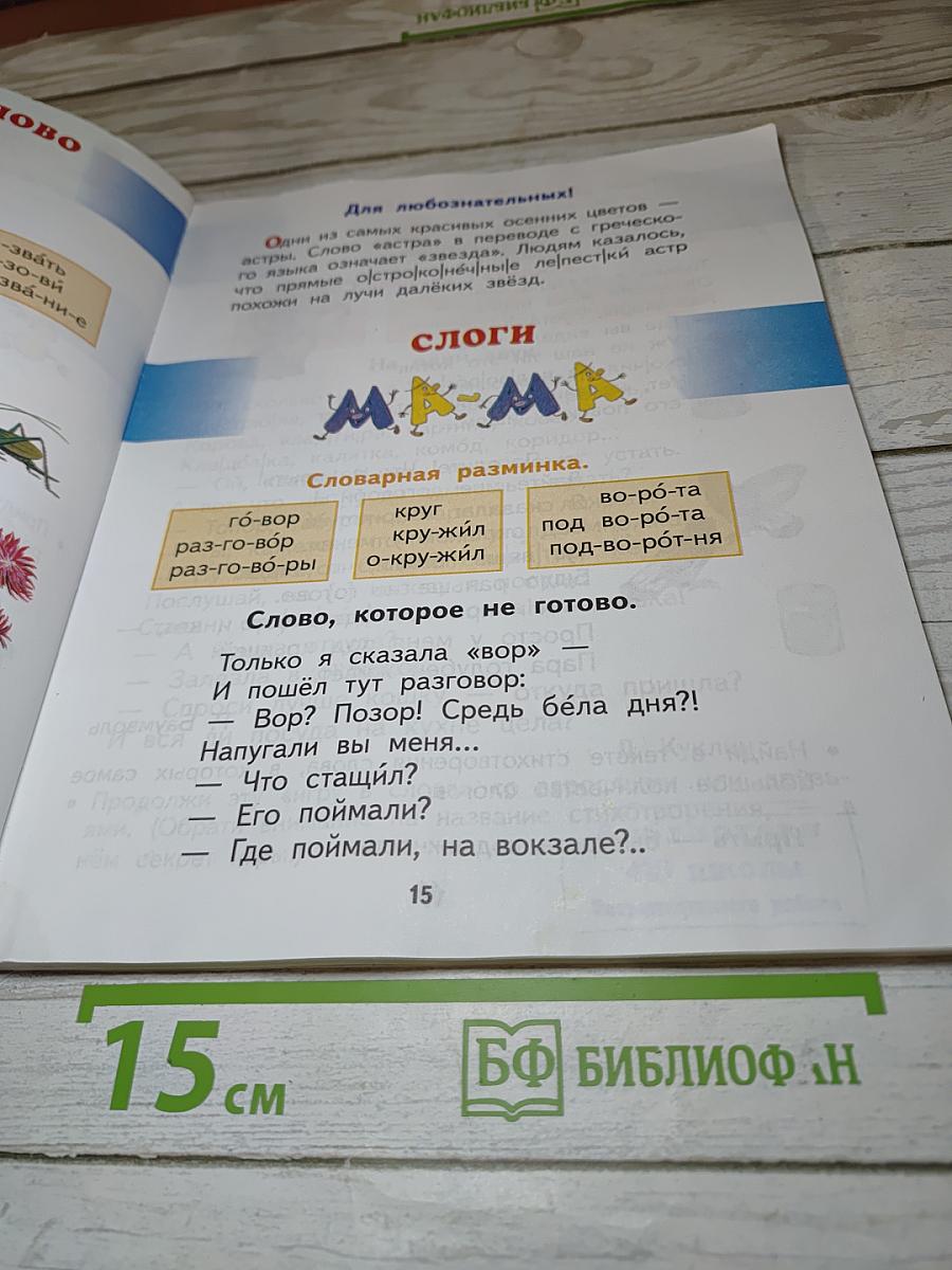 Спутник Букваря 1 класс