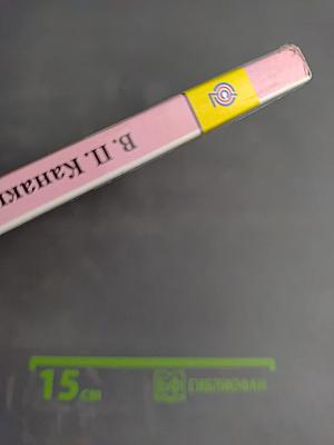 Русский язык. 3 класс. Часть 2