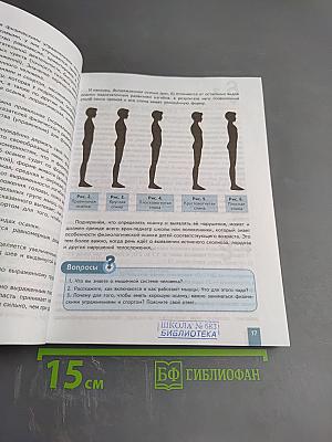 Физическая культура 8-9 классы